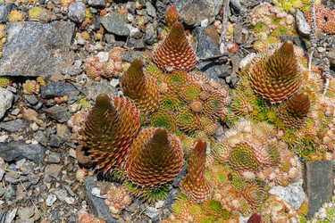 Similar image 21281186