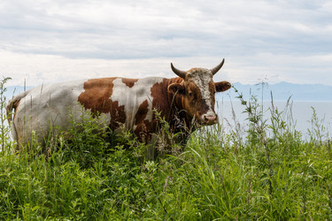 Similar image 21281209