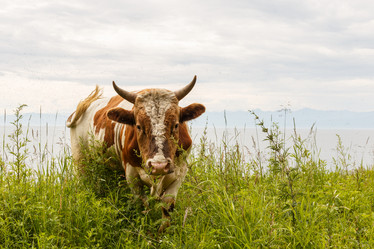 Similar image 21281210