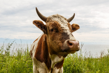 Similar image 21281211