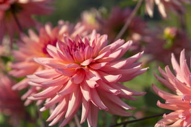 Similar image 21262755