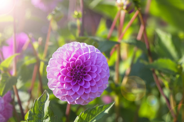 Similar image 21262757