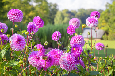 Similar image 21262758