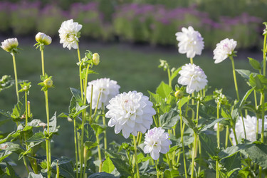 Similar image 21262760