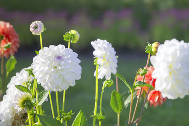 Similar image 21262761