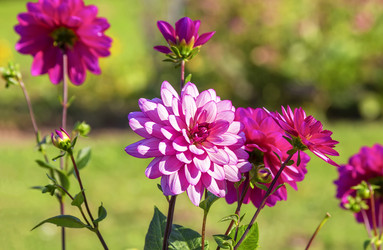 Similar image 21262766