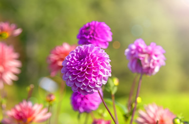 Similar image 21262769