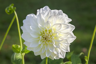 Similar image 21262770