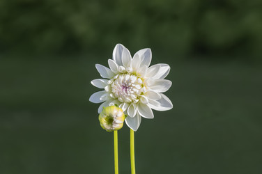 Similar image 21262772