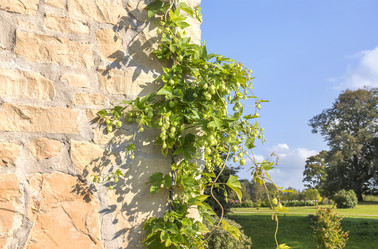 Similar image 21262707