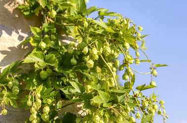 Similar image 21262773