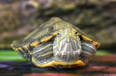 Similar image 21262675