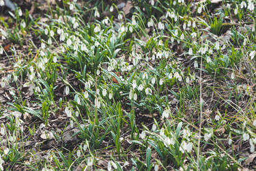 Similar image 21261366