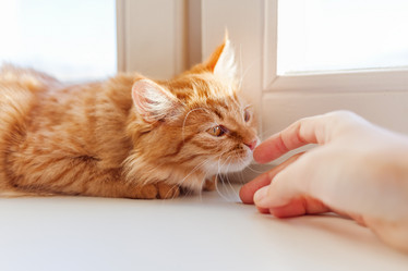 Similar image 21261367