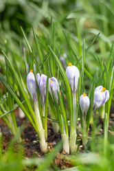 Similar image 21261375