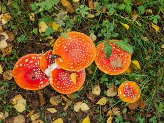 Similar image 21261376