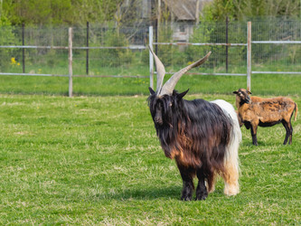 Similar image 21267967