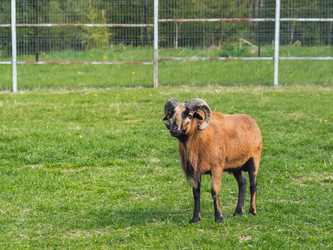 Similar image 21261379