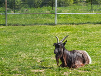 Similar image 21261381