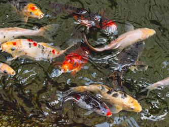 Similar image 21261384