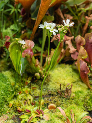 Similar image 21261394