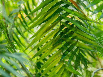 Similar image 21261395