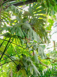 Similar image 21261396