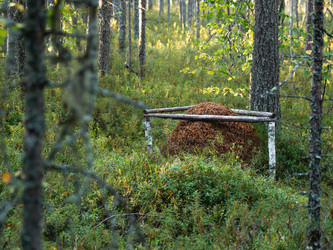 Similar image 21261402