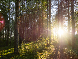 Similar image 21261404