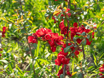 Similar image 21261406