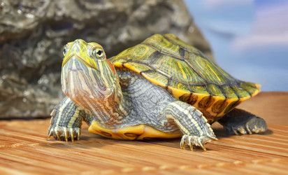 Similar image 21262777