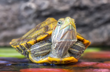 Similar image 21262778