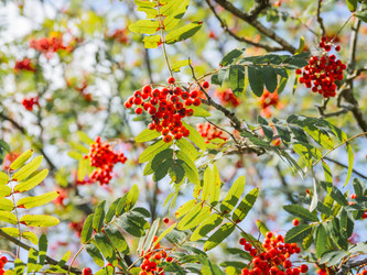 Similar image 21261339