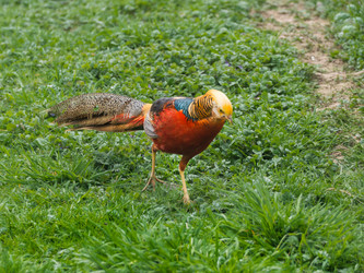 Similar image 21261417