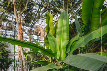 Similar image 21261418