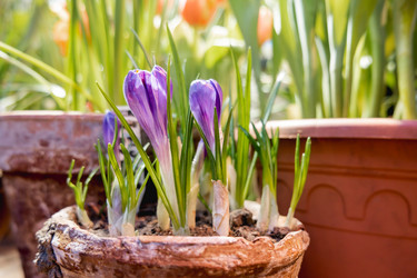 Similar image 21261420