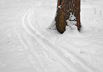 Similar image 21259217