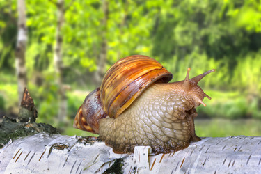 Similar image 21262788