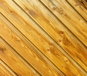 Similar image 21262812