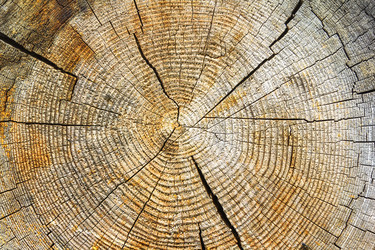 Similar image 21262814