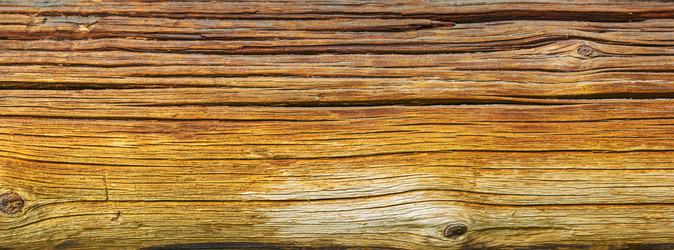 Similar image 21262815