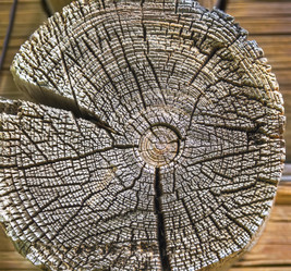 Similar image 21262816