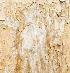 Similar image 21262820