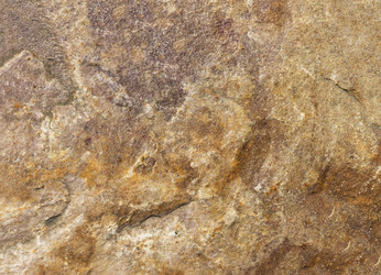 Similar image 21262834