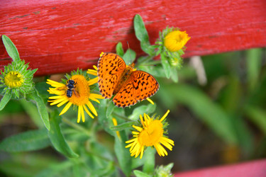 Similar image 21292066