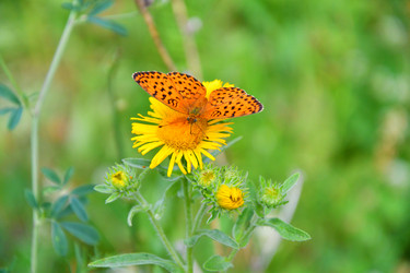 Similar image 21292067