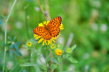 Similar image 21292068