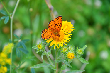 Similar image 21292069