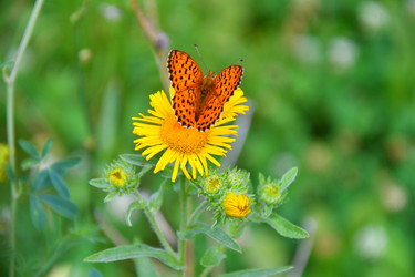 Similar image 21292070