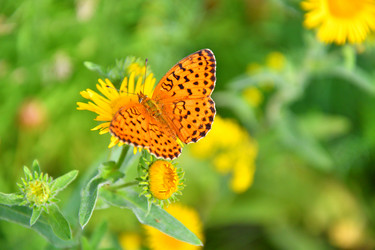 Similar image 21292074